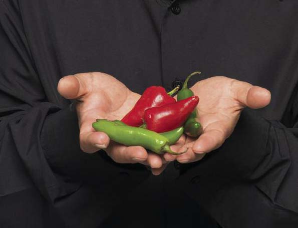 cover language of food