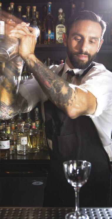 cover shrubs rebirth