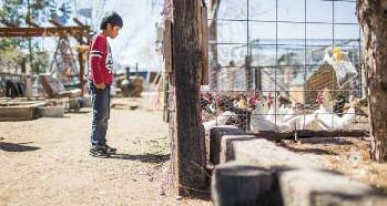 ed note cultivating culture 2