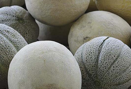 ed note one in a mellon