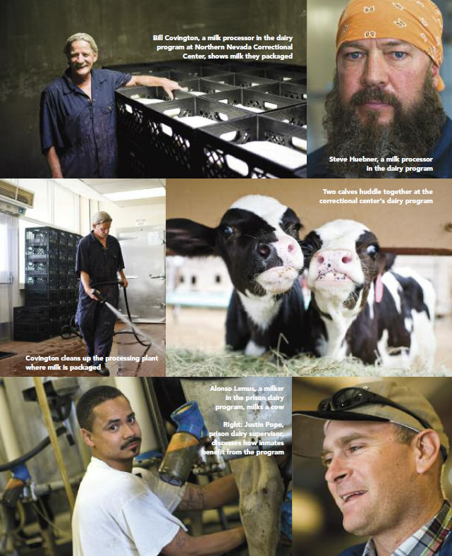 edible endeavors tasting freedom 2