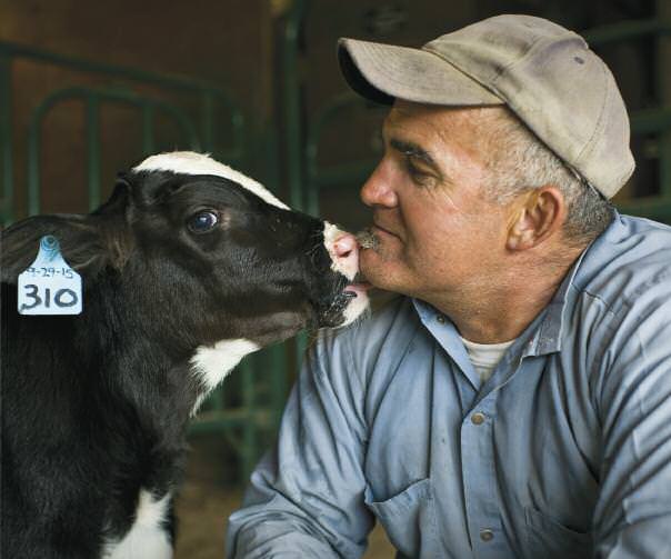 edible endeavors tasting freedome