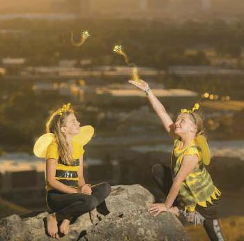 edible notables A Apiary