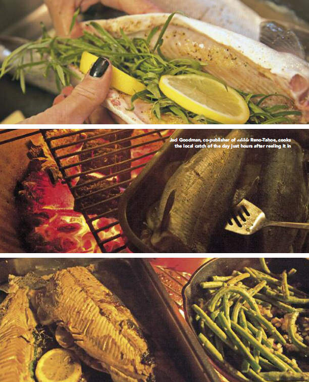 edible travel fish tales 3