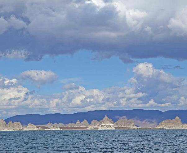 edible travel fish tales