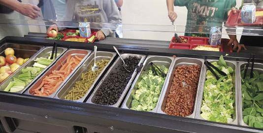 feature fostering wellness 2