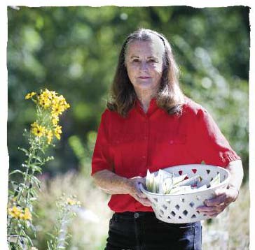 feature guardians of globe