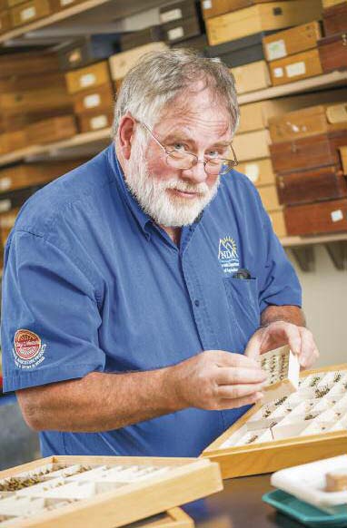 feature pondering pollination