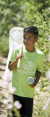 feature wings at work 1