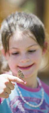 feature wings at work 2