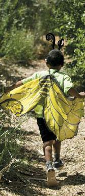 feature wings at work 3