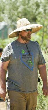 feature wings at work 4