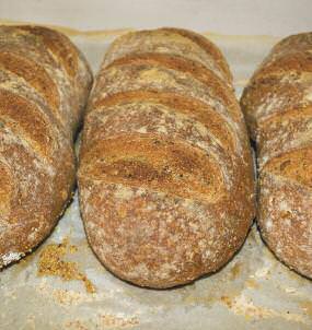 sourdough daily bread