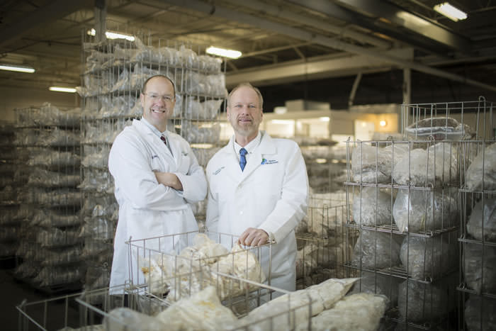 EdibleRenoTahoe Mushrooms 039