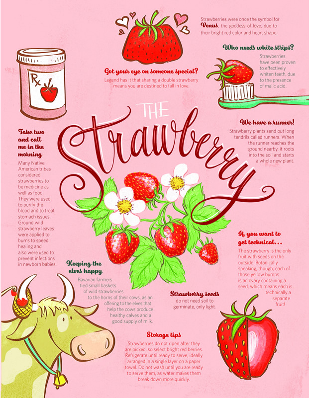 Summer 2017 · The Strawberry
