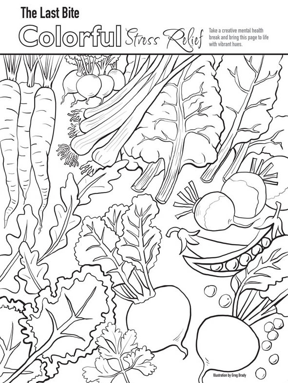 Spring 2017 · Colorful Stress Relief
