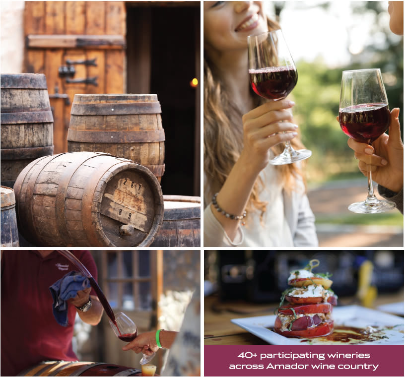 amador wine