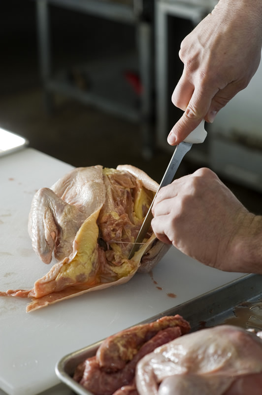 Tips&Tricks chicken 2