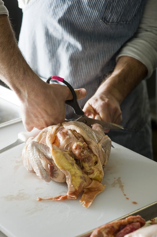 Tips&Tricks chicken 3