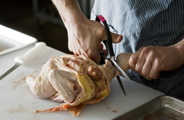 Tips&Tricks chicken 4