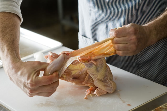 Tips&Tricks chicken 5