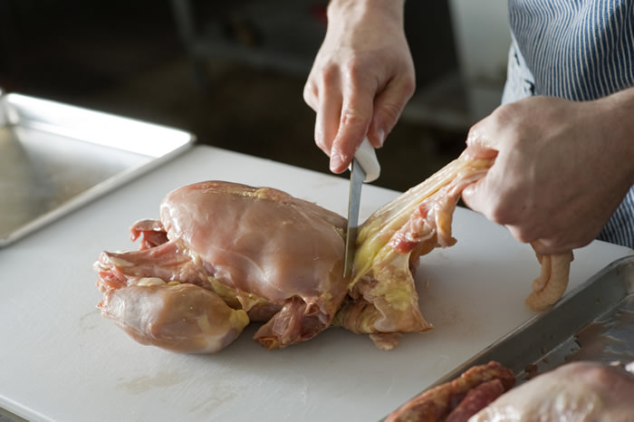 Tips&Tricks chicken 6