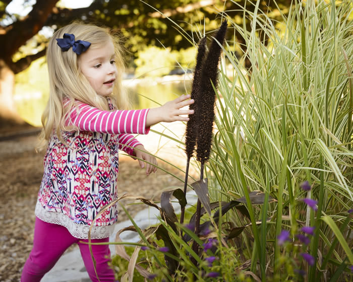 10 sensory garden set 001th