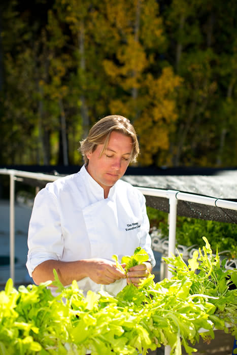 11 RooftopRoots 002th