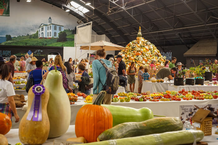 13 HeirloomExpo Displays Flower Hall Expo 2016 DSC01257th