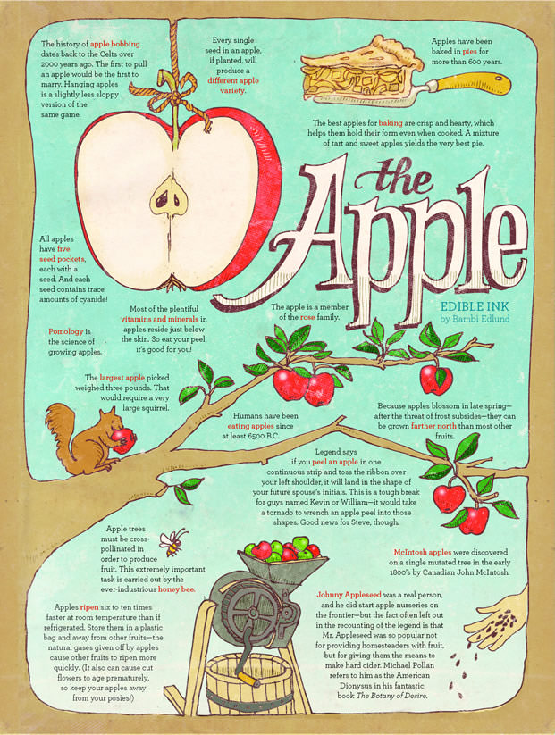 Fall 2017 · The Apple