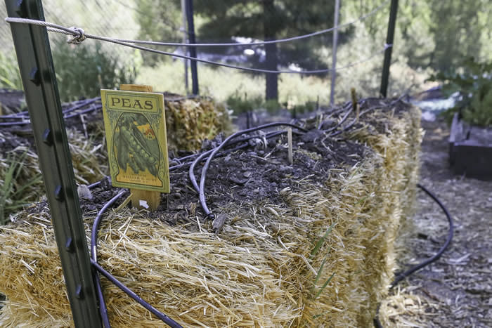 Edible Garden BeddingDown Slow Food final 5th