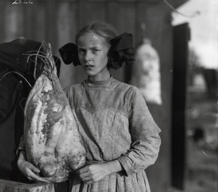 Edible Traditions Sugar Beet UNRS P1989 55 2822th