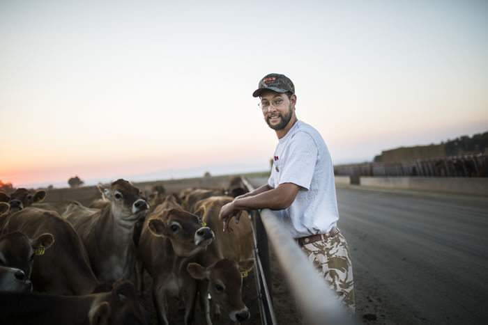 Exports LibertyJerseyFarm 009 favth