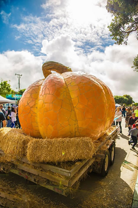 PeterHazel4 fav but not sure high res enoughth