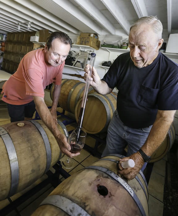 Winemaking bernardo final 10th