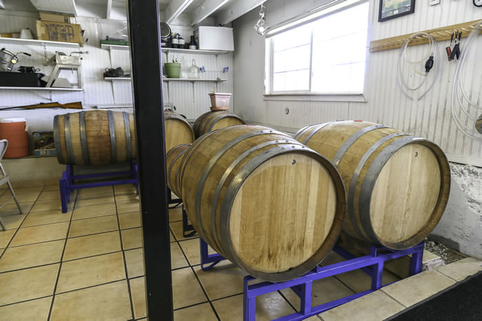 Winemaking bernardo final 2th