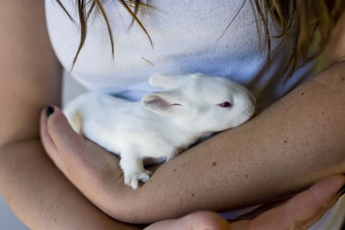 douglas high school ag2th