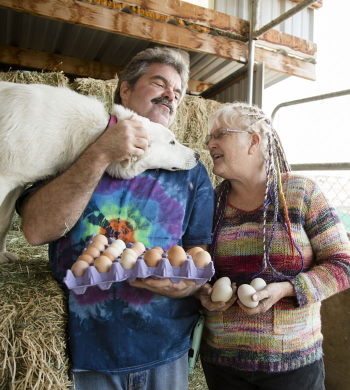 Cover Palomino Farm 0019 fav wr