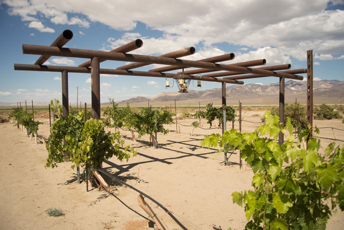 EdibleTravel Queensland6973