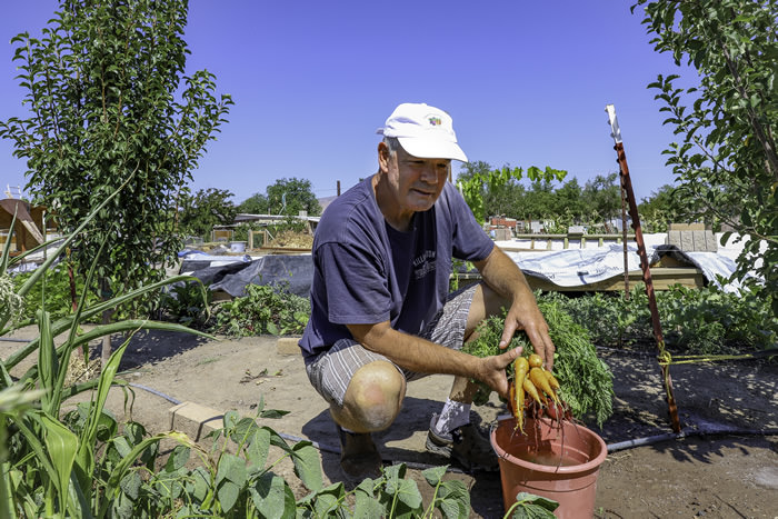 littlebusybeefarm 03