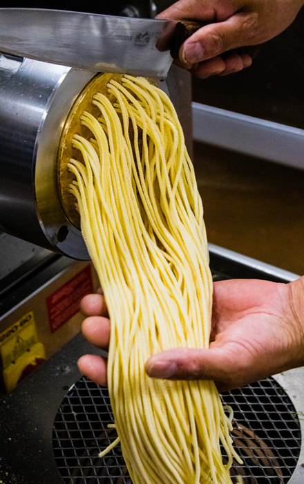 Eldorado Pastaextruder 2