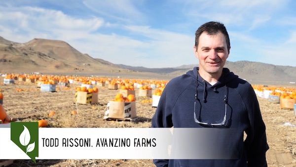 Todd Avanzino Farms