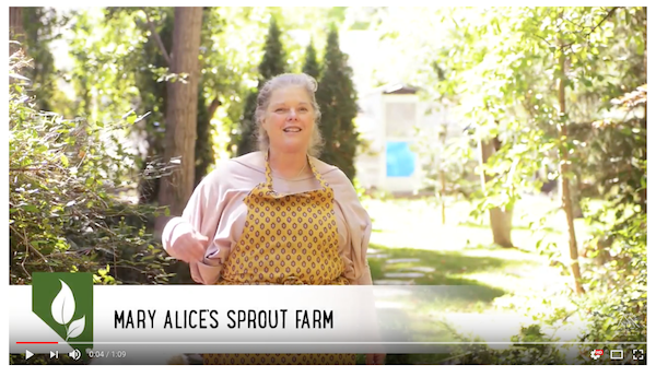 maryalice sproutfarm