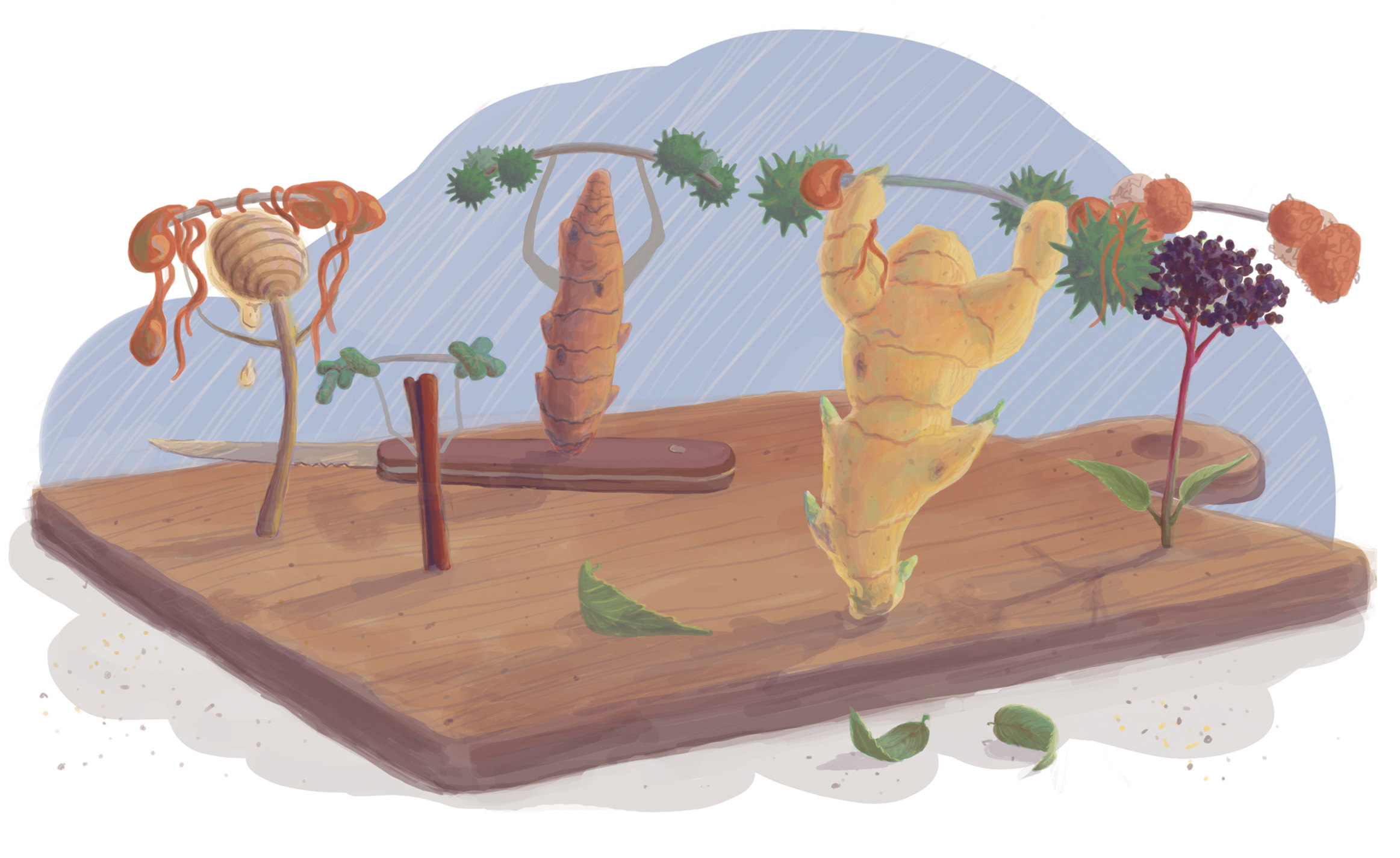 Immune Boost Illustration Final