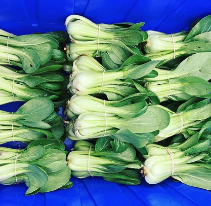 BokChoy2