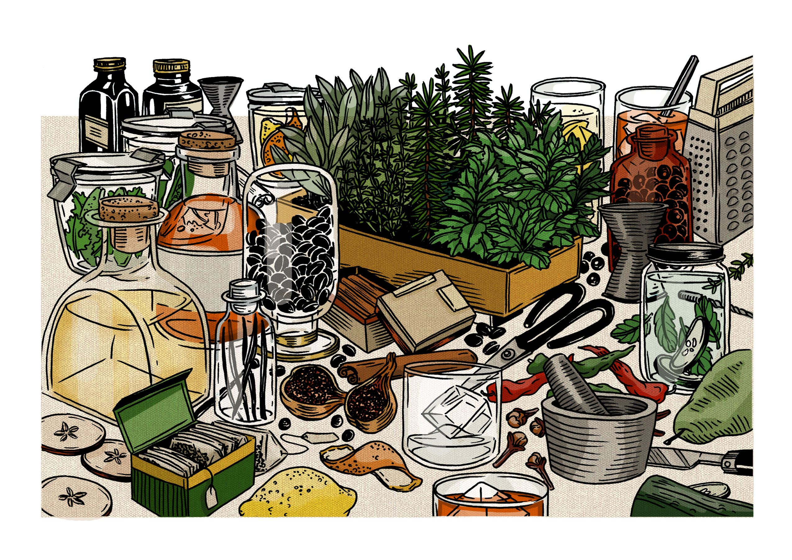 Drinks on Your infusions illustration