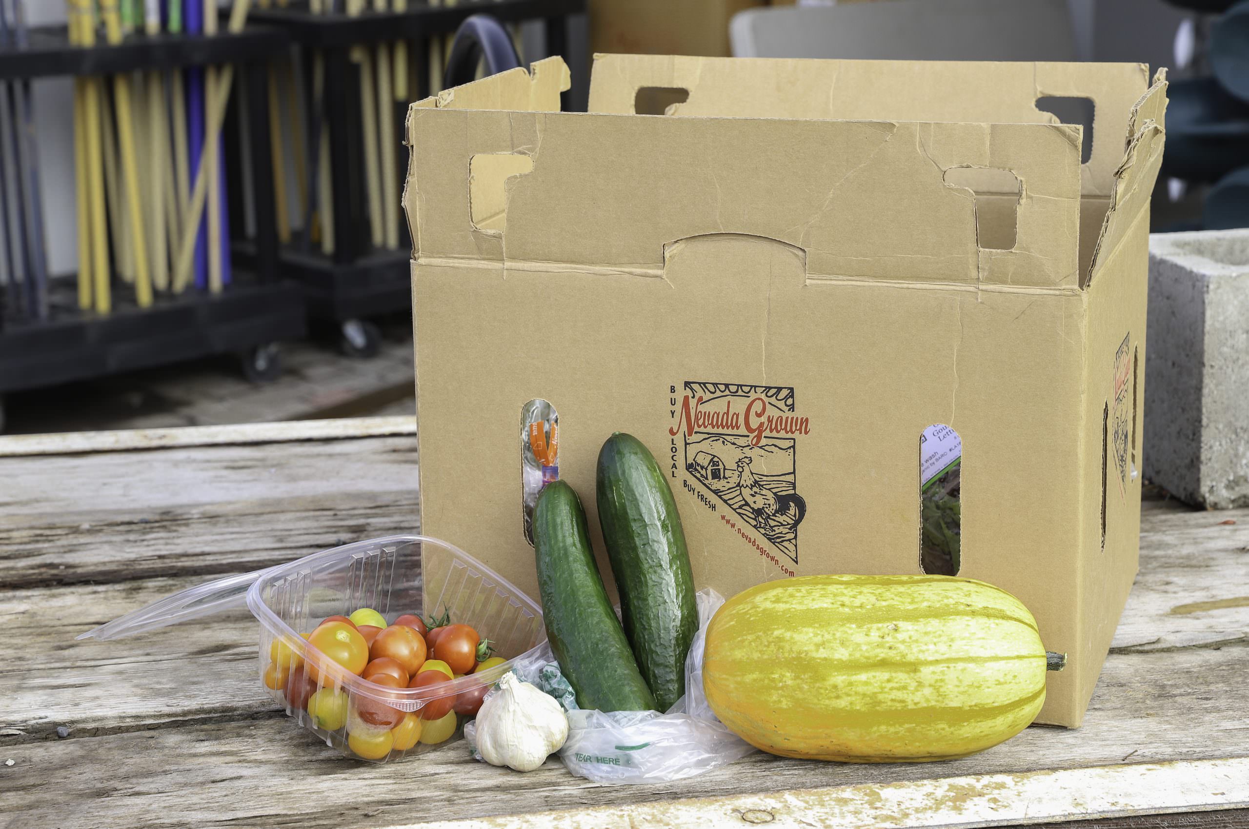 Fallon Food Hub CSA 12