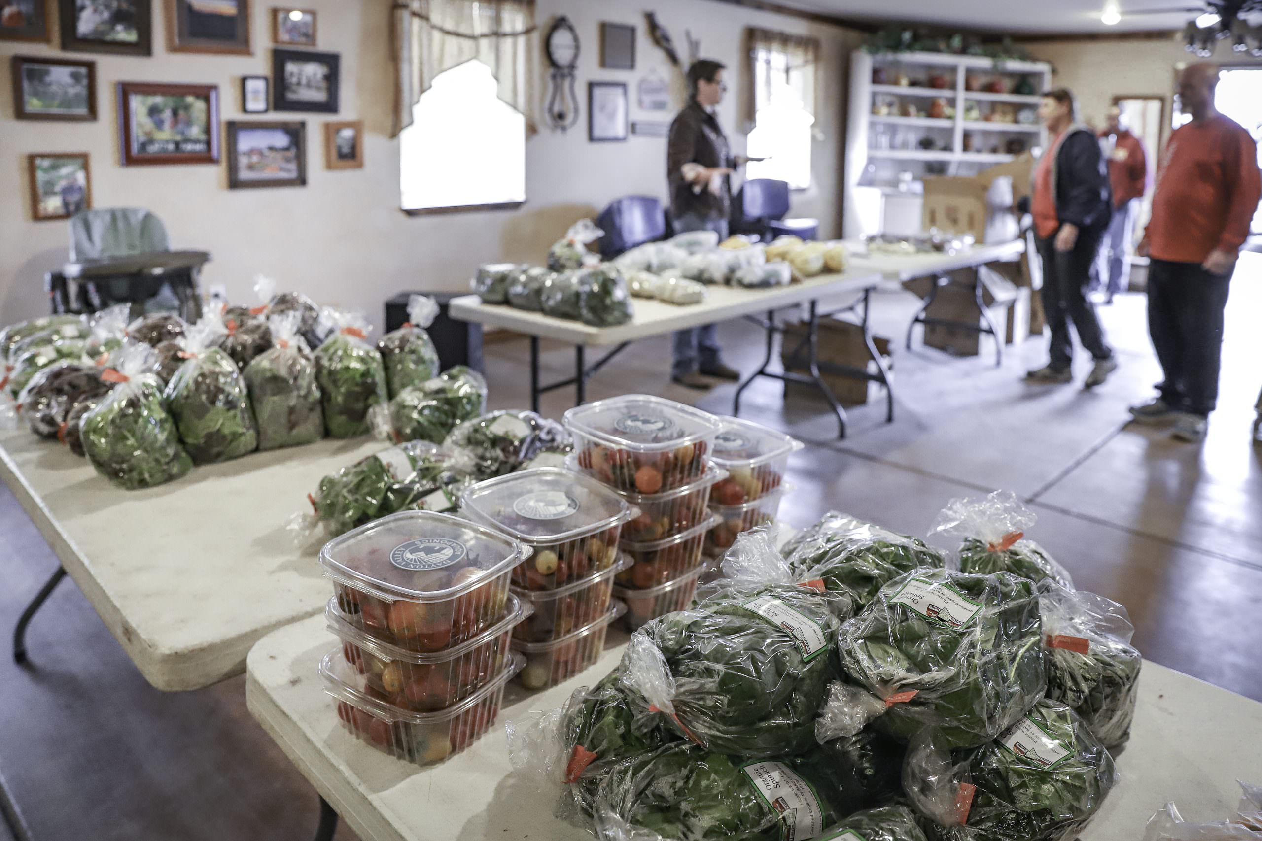 Fallon Food Hub CSA 5