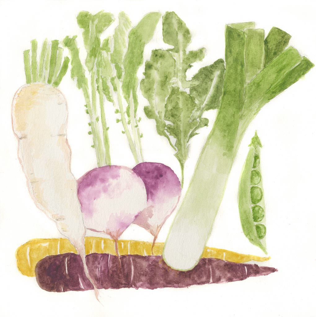 Vegetables JaimieC cleaned