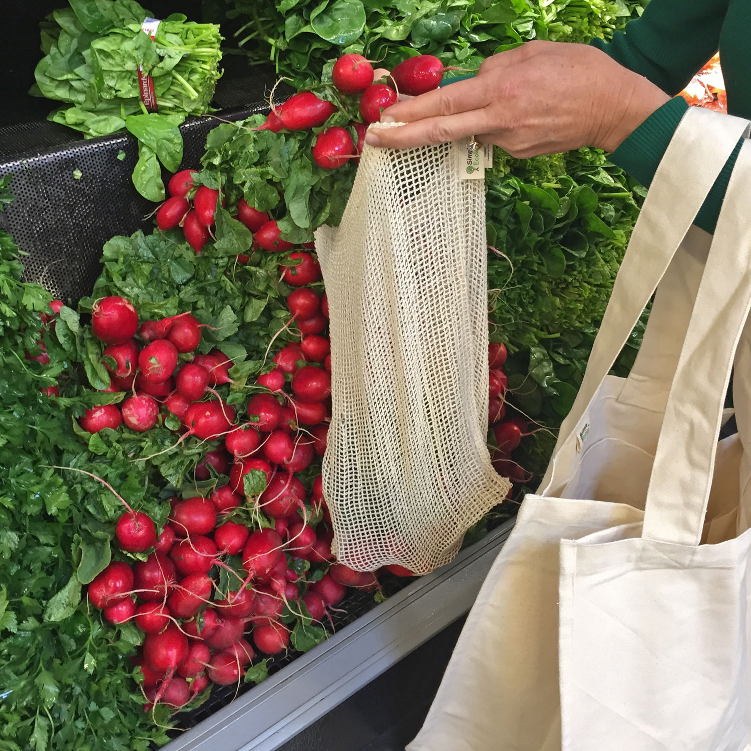 Simple Ecology Mesh Radishes S